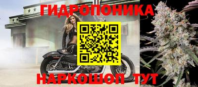 крисы Пыть-Ях