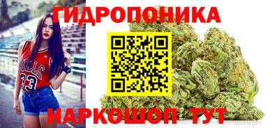 крисы Пыть-Ях
