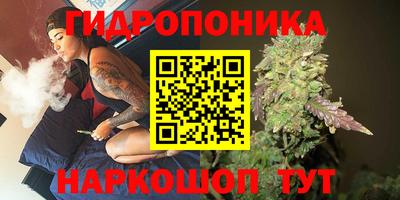 крисы Пыть-Ях