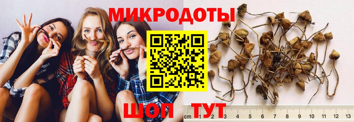 закладка  Галлюциногенные грибы ЛСД  Муравленко  Вход с VPN  Псилоцибиновые грибы GOLDEN TEACHER 